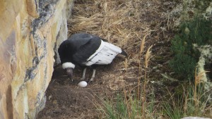 PH, Fundación Neotropical 2 - Fundación Hidrobiológica George Dahl
