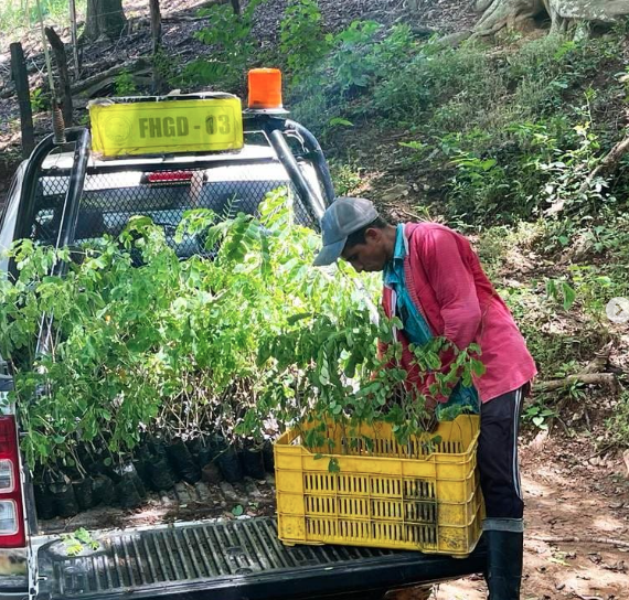 Captura de Pantalla 2022-12-20 a la(s) 10.53.16 a. m. - Fundación Hidrobiológica George Dahl