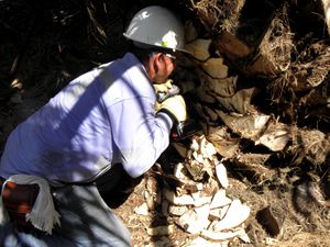 Caracterización comunidad anuros - Fundación Hidrobiológica George Dahl