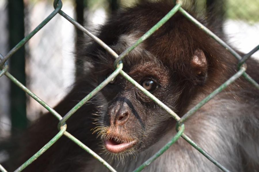 57374550_694715237611696_6923662670436499456_n - Fundación Hidrobiológica George Dahl