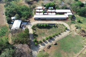 CONOCES EL CENTRO DE FAUNA DE CORPOCESAR? - Fundación Hidrobiológica George Dahl