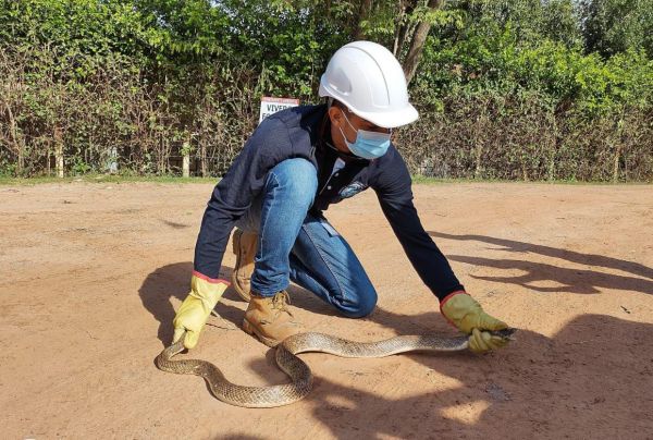 Luis Iván Sanabria Pérez - - Fundación Hidrobiológica George Dahl