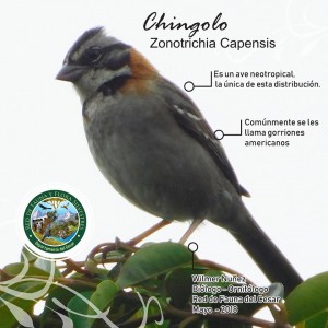 32202922_474784159604806_2937851956535754752_n - Fundación Hidrobiológica George Dahl