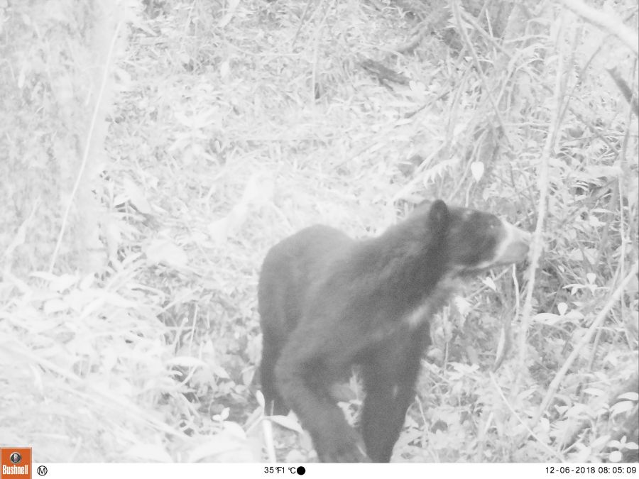 12060159 - Fundación Hidrobiológica George Dahl