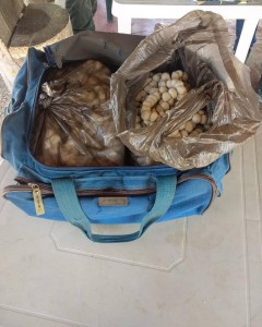 52599419_651451928604694_4197317134306508800_n - Fundación Hidrobiológica George Dahl