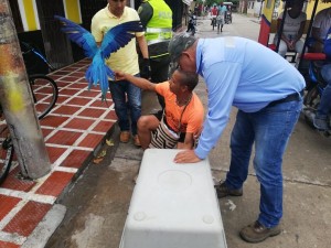 ENTREGA VOLUNTARIA DE TRES GUACAMAYAS - Fundación Hidrobiológica George Dahl