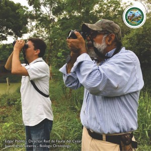 364 especies de aves reportó el cesar en la jornada mundial de observación de aves #GlobalBidDay - Fundación Hidrobiológica George Dahl