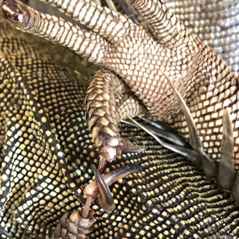 54362905_673489309734289_4217229130971742208_n - Fundación Hidrobiológica George Dahl