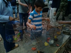 a9a1535b-4301-44f7-8034-05d800f426fc - Fundación Hidrobiológica George Dahl