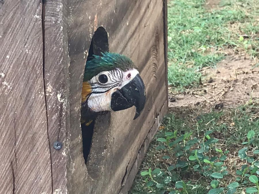 WhatsApp Image 2020-01-21 at 11.21.08 AM - Fundación Hidrobiológica George Dahl