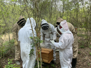 Caja Abejas - Fundación Hidrobiológica George Dahl
