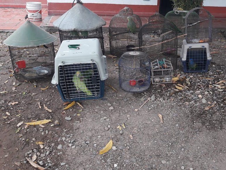 48427805_620651788351375_2290739572033716224_n - Fundación Hidrobiológica George Dahl