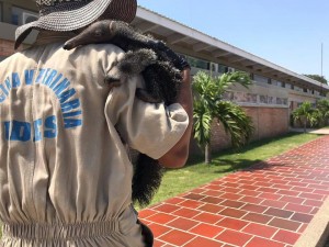 OSO PEREZOSO - Fundación Hidrobiológica George Dahl