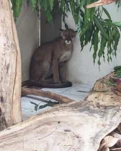 53429819_658373441245876_4849707741557555200_n - Fundación Hidrobiológica George Dahl