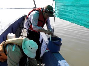 Programa conservación caimanes y babillas - Fundación Hidrobiológica George Dahl