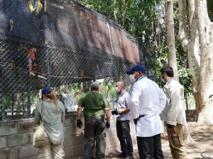 CAVFFS CORPOCESAR COMO MODELO A SEGUIR - Fundación Hidrobiológica George Dahl