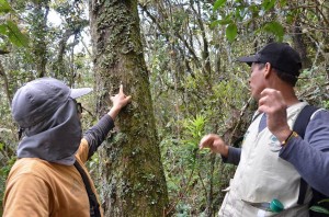 38761781_542103742872847_5523791644505145344_n - Fundación Hidrobiológica George Dahl